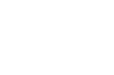 Logo Mister Ianus